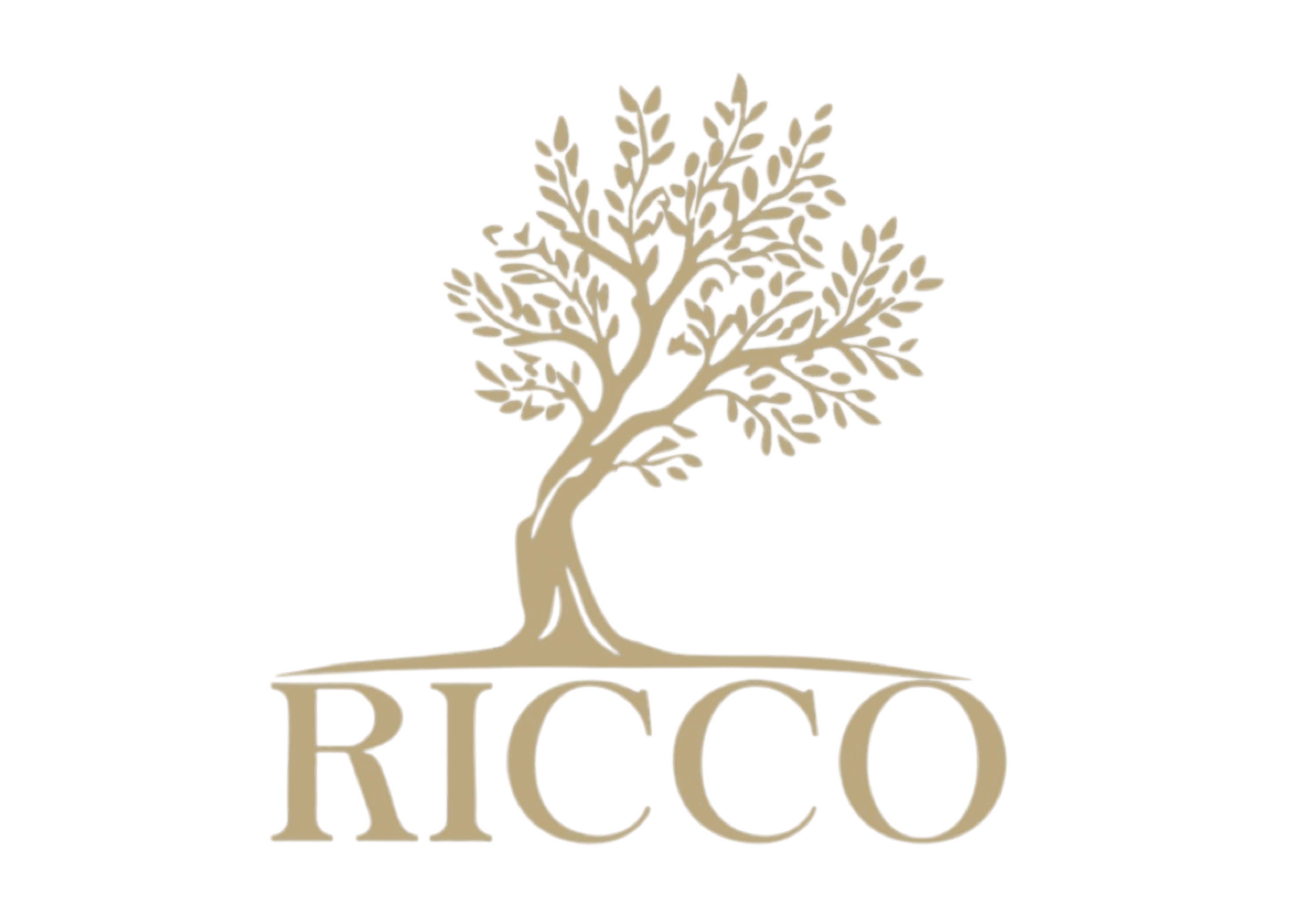 Client brand logo 11 , trusted by FRR Marketing Agency